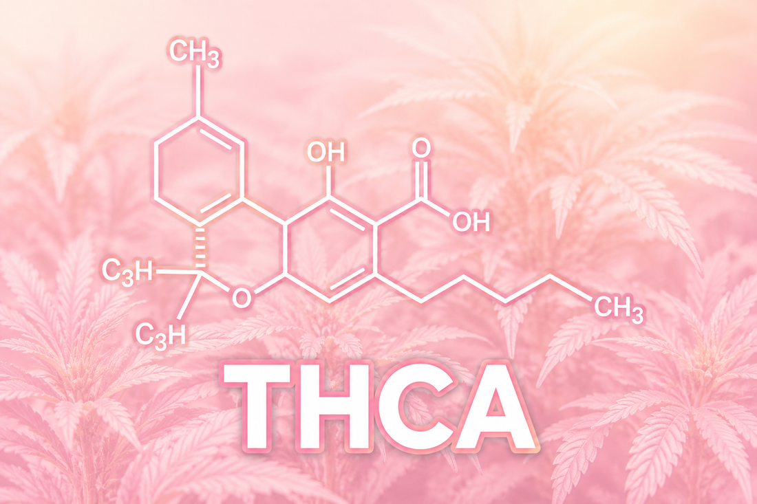 WHAT IS THCA?