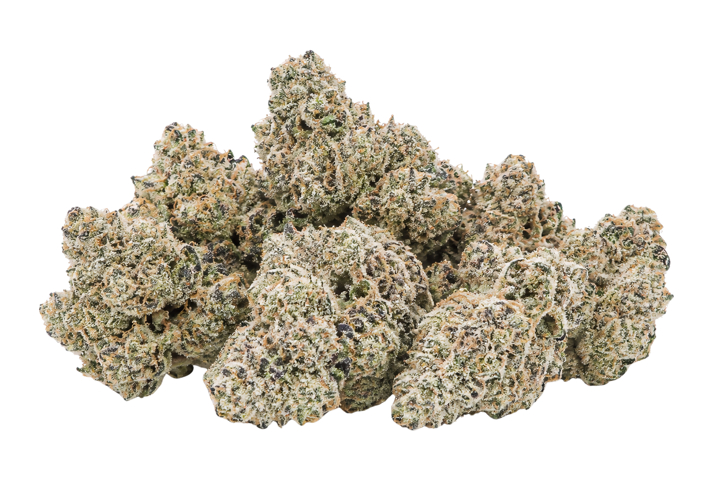 Frosty Shorty 3.5G Flower