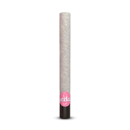 Donutte Hash Hole Strawberry Shortcake